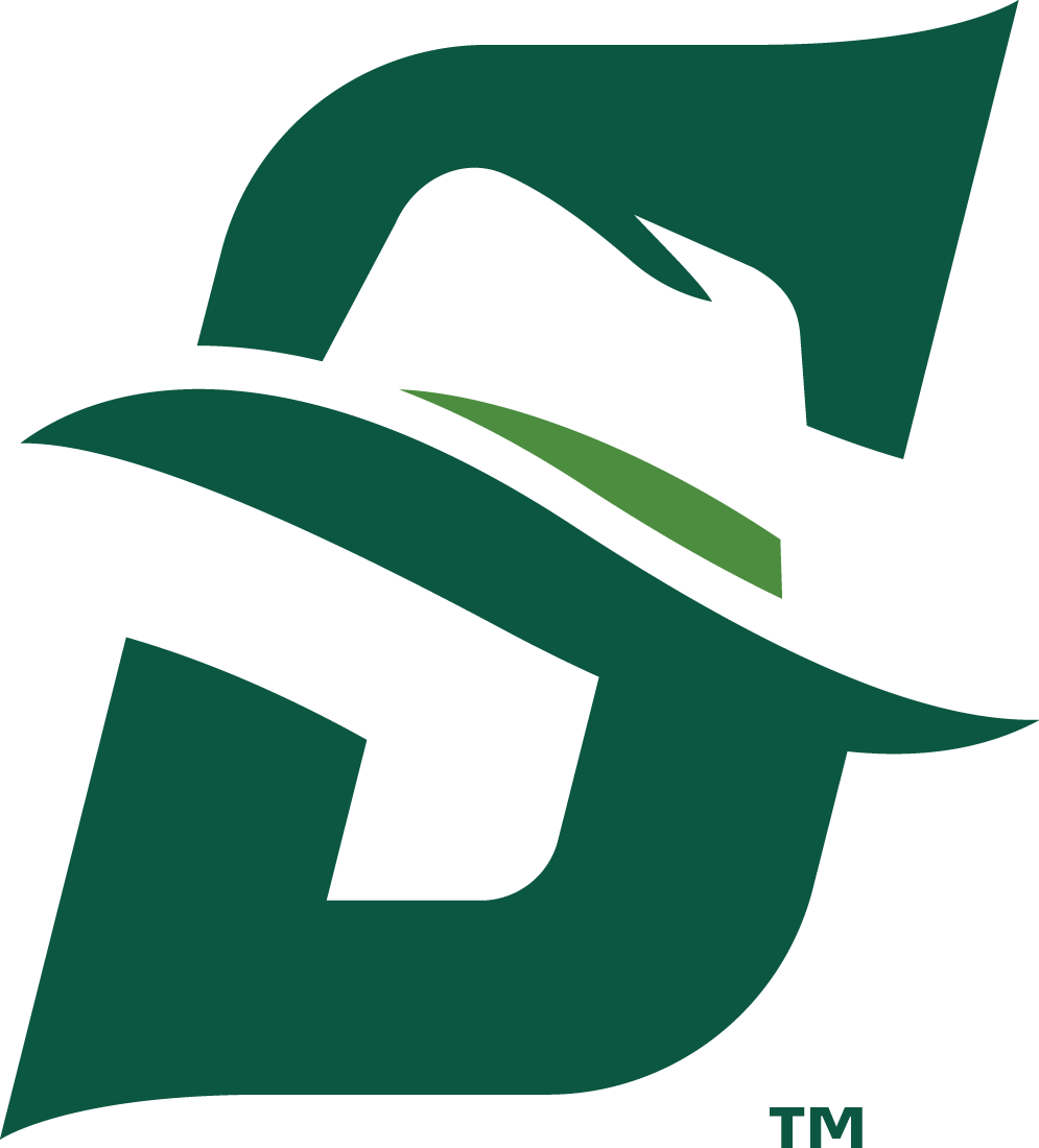Stetson Hatters 2018-Pres Primary Logo diy iron on heat transfer...